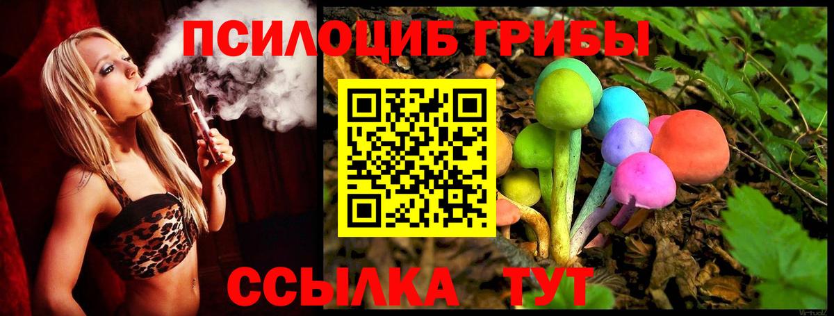 Сосновоборск  Галлюциногенные грибы прущие грибы  цены наркотик  Вход с VPN 
