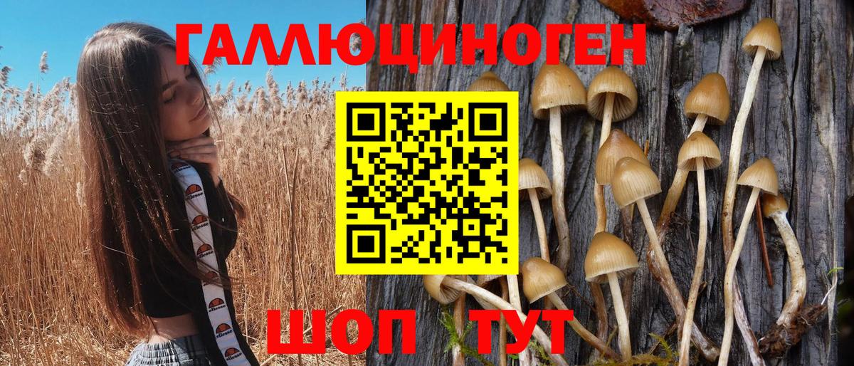 Псилоцибиновые грибы Magic Shrooms Сосновоборск